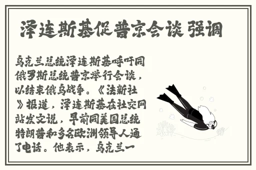 久久99久久精品99久久综合